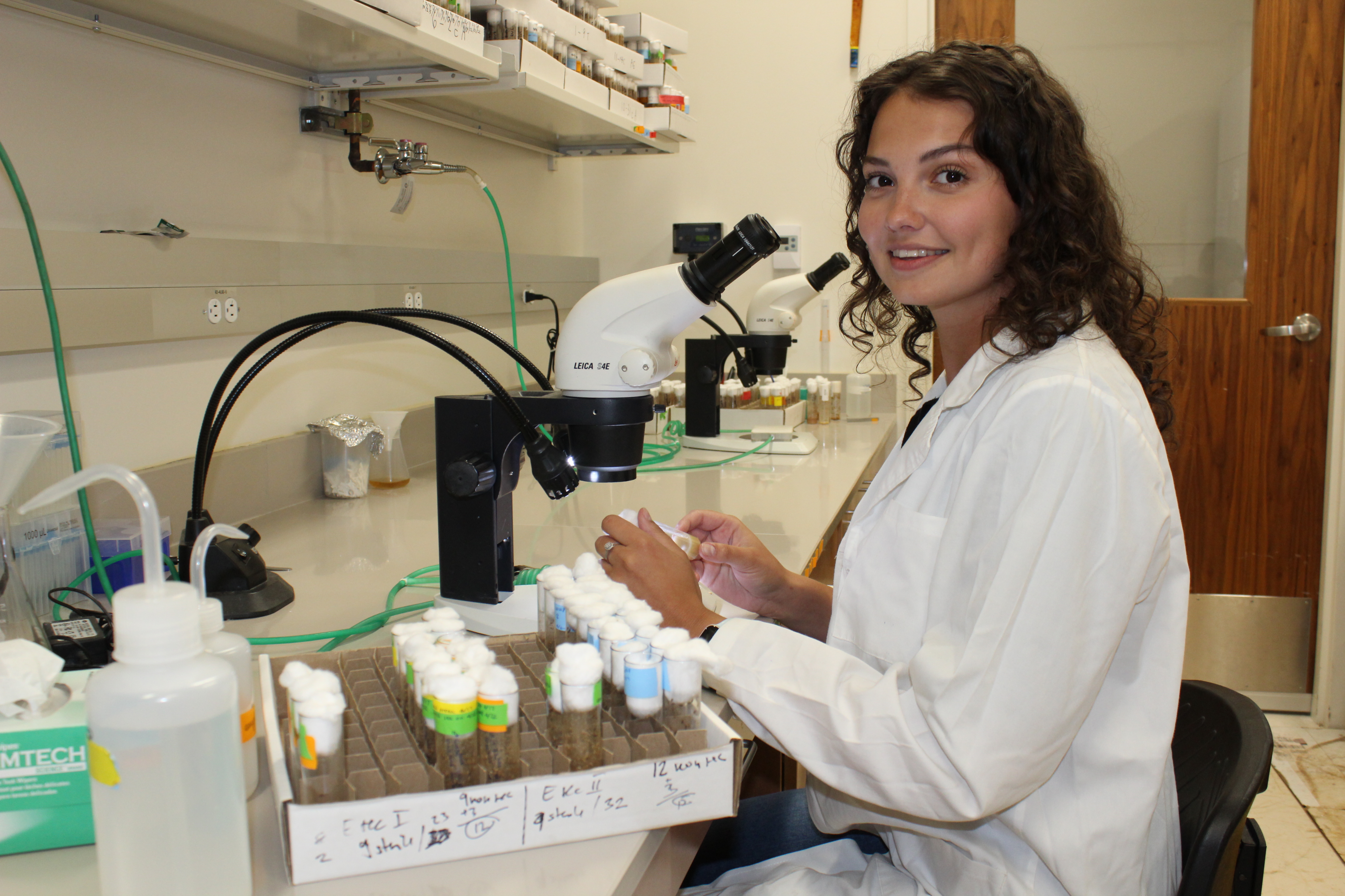 Texas A&M University